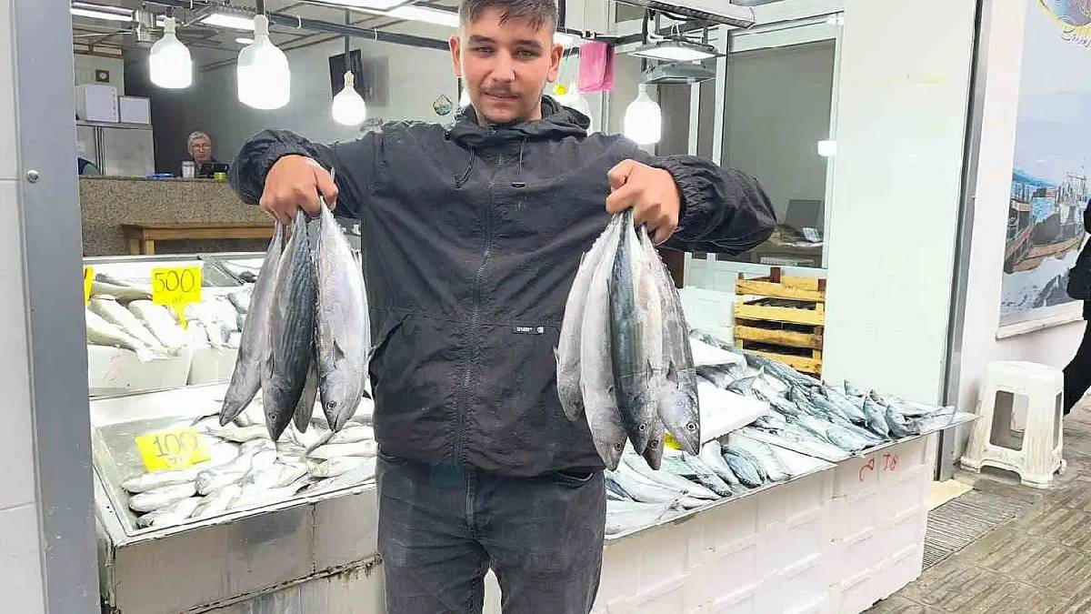 Denizler palamutla coştu tezgahlar şenlendi! Fiyatı 50 TL’ye kadar düştü
