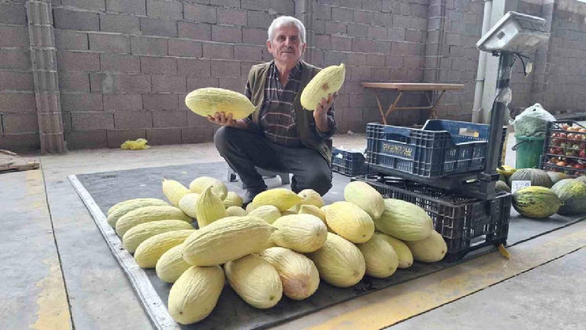 Ne su istiyor ne de ilaçlama! Kütahya’da yetişiyor, tanesi 40 TL’den satılıyor