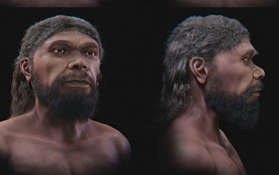 300 bin yıllık sır çözüldü: Bilinen en eski Homo Sapiens’in yüzü ilk kez gün yüzüne çıktı
