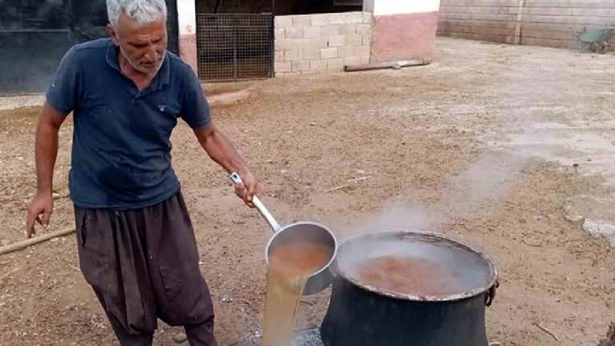 Şifasını da lezzetini de güneşten alıyor! Araban’da ‘Gün Balı’ mesaisi başladı