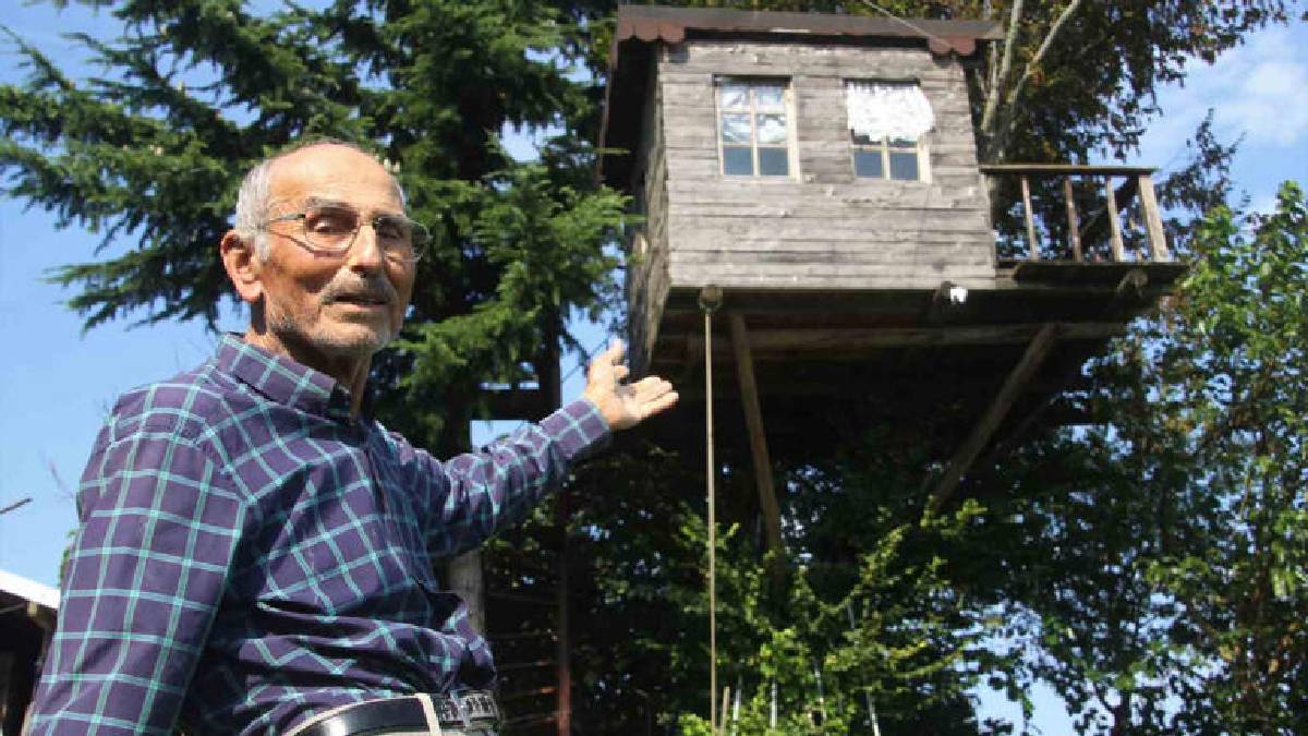 Torununun isteğiyle 85 yaşında imkansızı başardı! 90 yıllık ağaç üstüne 6 metre ev dikti