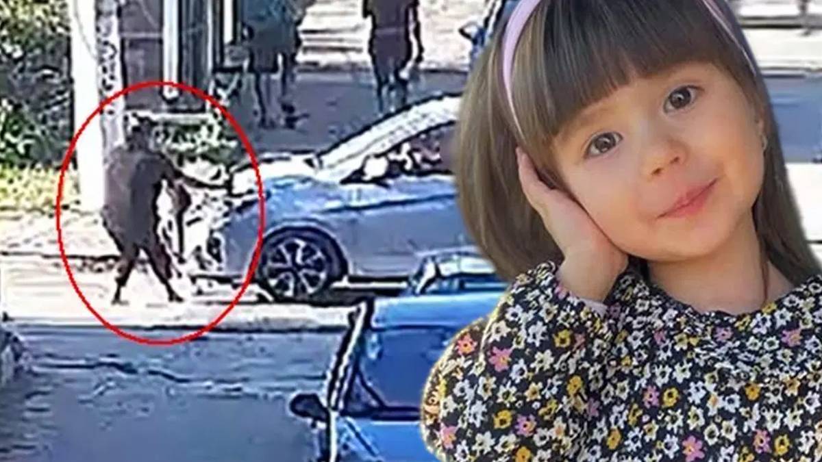 Adli Tıp raporu Minik Elif Mavi'nin ailesini akladı: Anne ve kızın kusuru yok, sürücü kusurlu