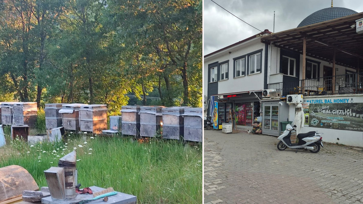 İstanbul’un yanı başında saklı bir cennet: Doğa, tarih, şifa, emek ve vefanın adresi: Kurtköy