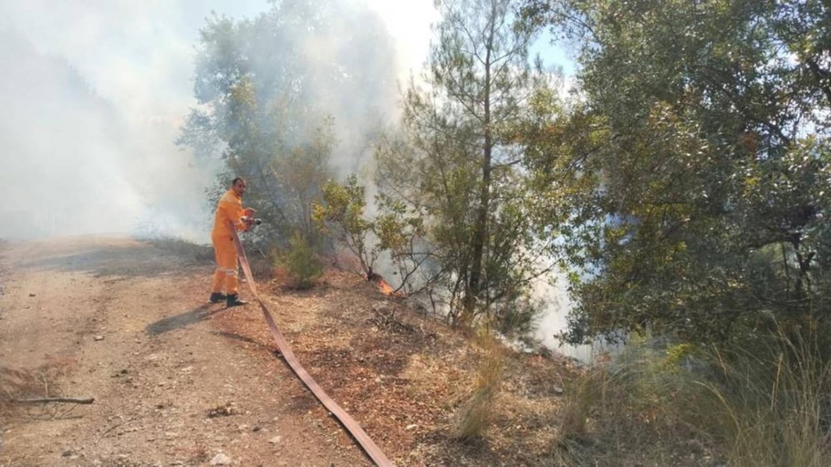 Bursa’da orman yangını: Havadan ve karadan müdahale başlatıldı