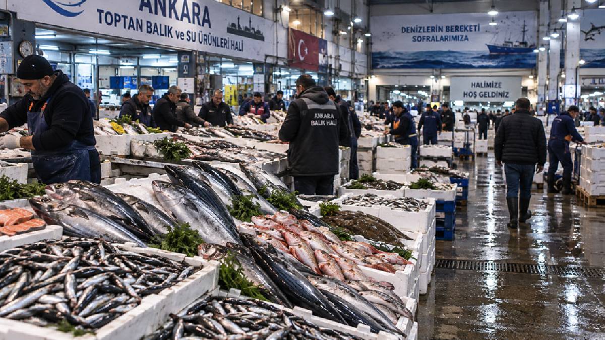 Fiyatı 50 TL’ye kadar düştü uyarı geldi! Balıkta bu hata Omega-3 kaybına yol açıyor