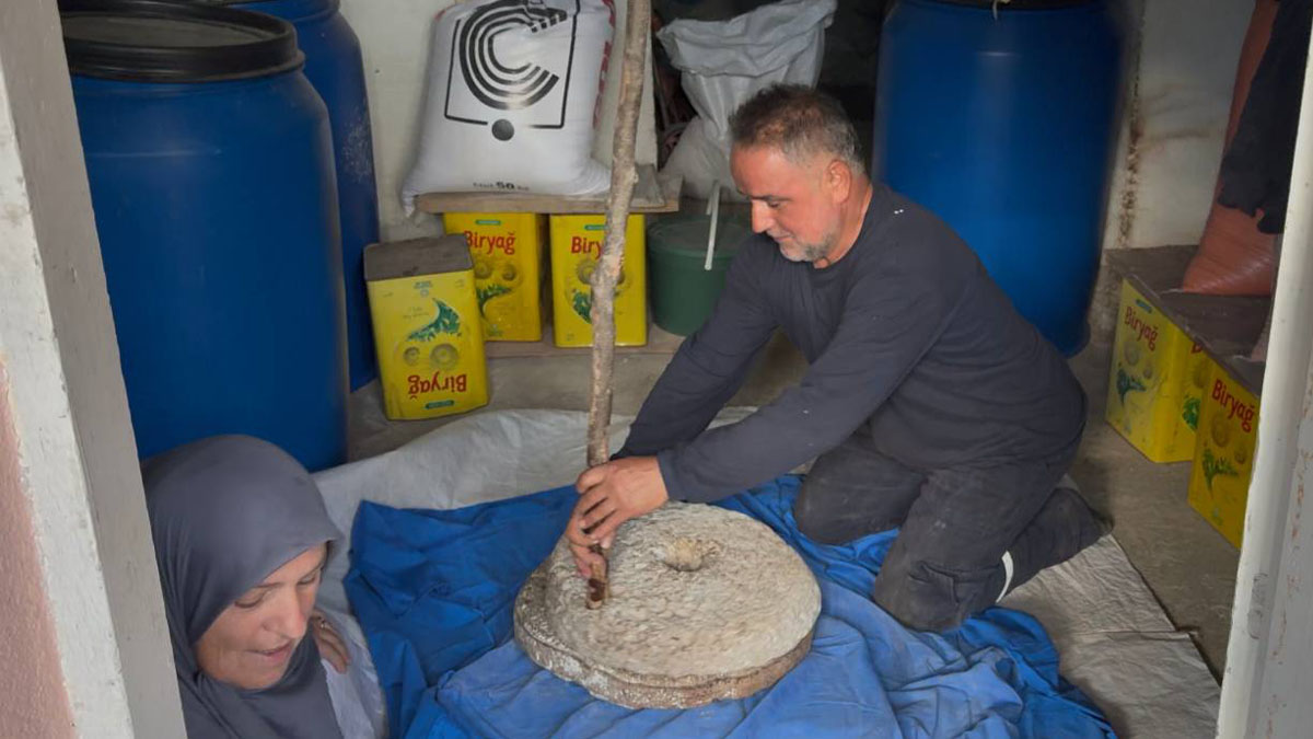Sakarya’da 90 yıllık ata yadigarı yaşatılıyor! 1 kilosu bin lira: El emeği taş değirmende üre tatlısının özü çıkıyor