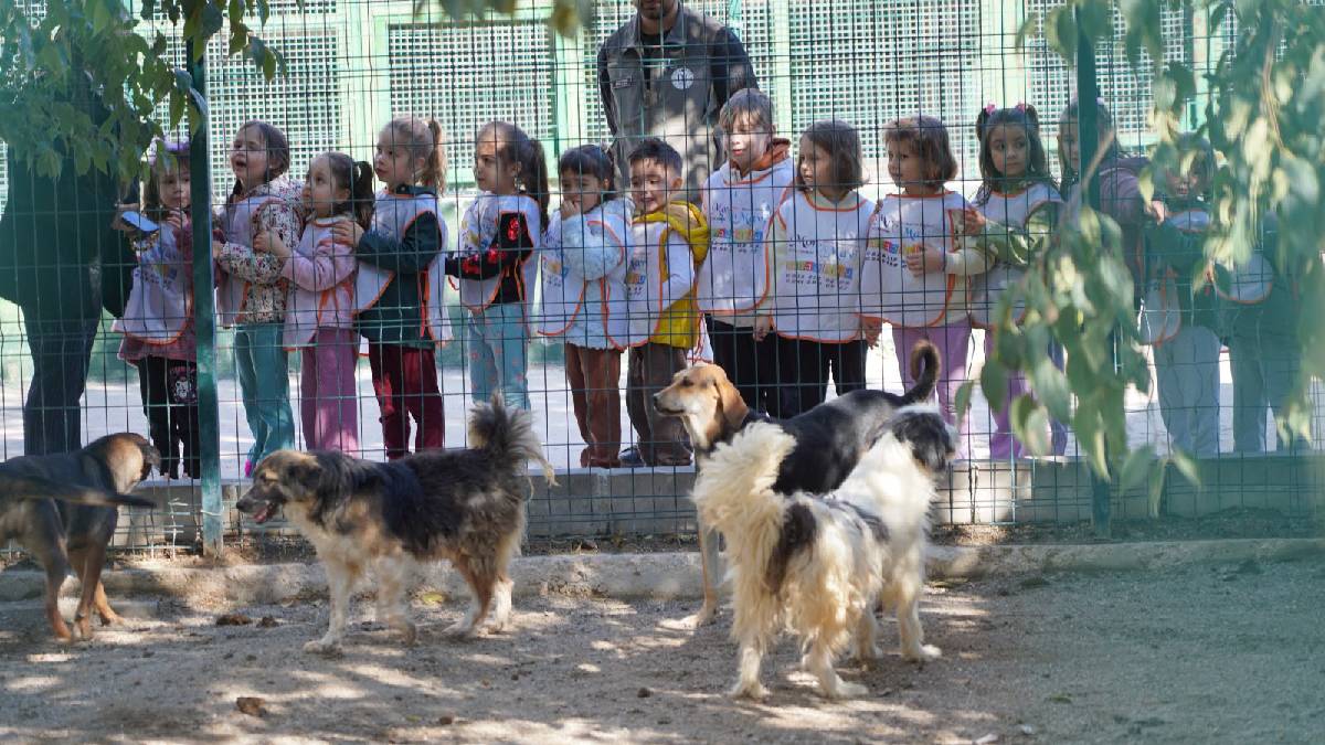 Öğrenciler barınak ziyareti yaparak hayvanları sevdi ve mama verdi