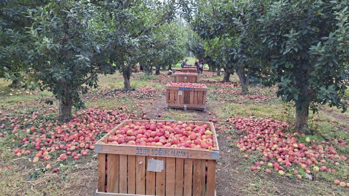 Tarlada 20, markette 140 TL! Çivril’de maliyet %100 arttı