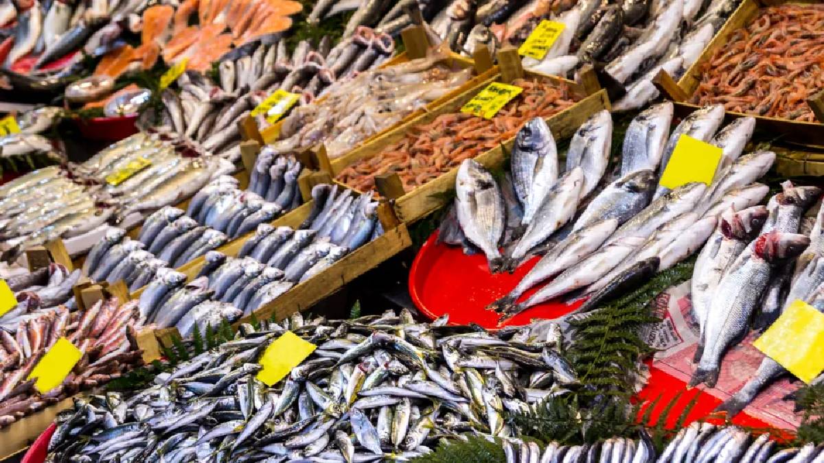 Hangi balıkta ne kadar fayda var? Uzmanlara göre Omega-3 şampiyonu 5 balık