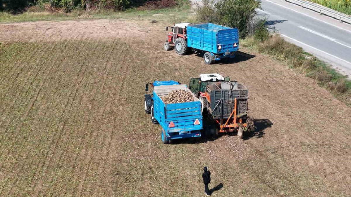 180 günlük emek sofralara taşınıyor! Erzincan’da taban fiyat beklentisi artıyor