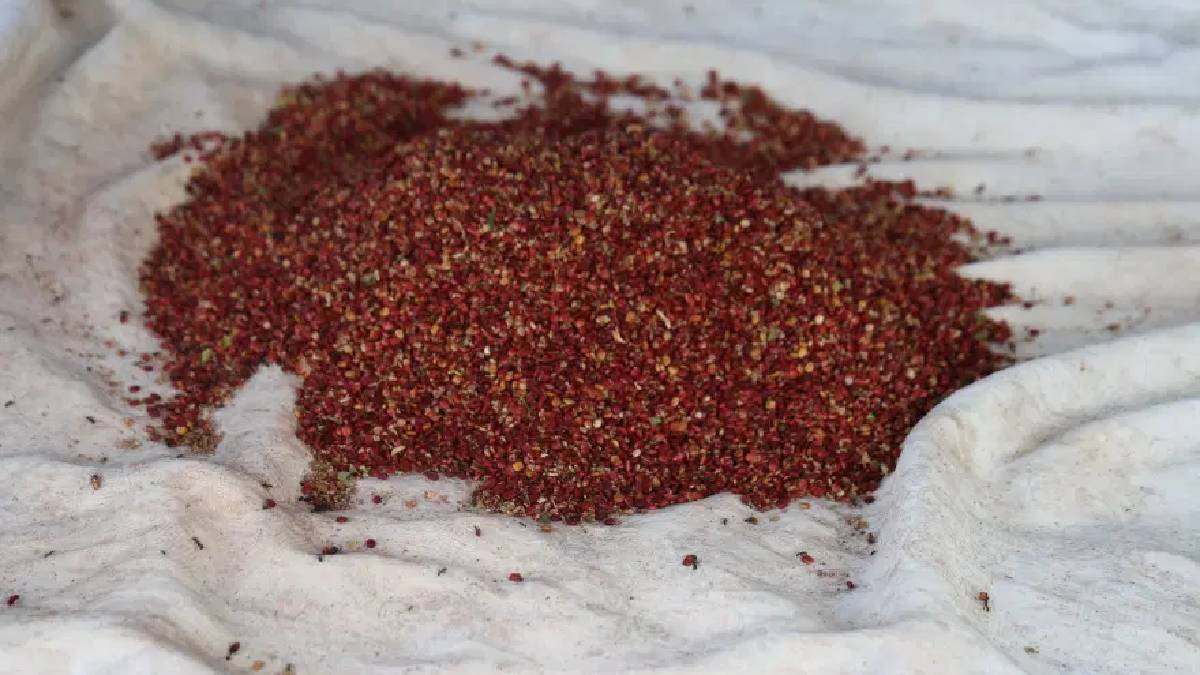 Meyve vermeyen ağaçtan aşılamayla servete ulaştı! Kilosu 900 TL’den kapış kapış satıyor