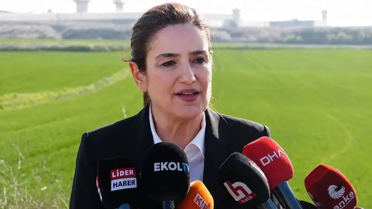 Ahbap soruşturmasında tutuklanan Avukat Ece Güner tahliye edildi
