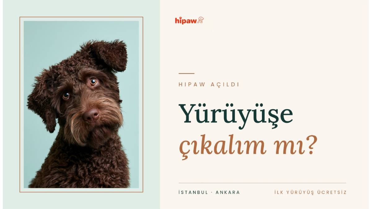 Hipaw, kentte yaşayan evcil hayvan sahiplerinin bakım ihtiyacına odaklanıyor