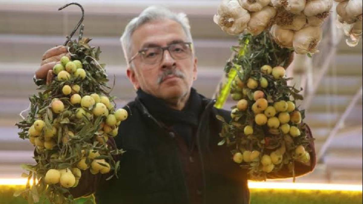 Bir yıl var bir yıl yok! İç Anadolu’nun şifa kaynağı 200 TL’den havada kapıldı