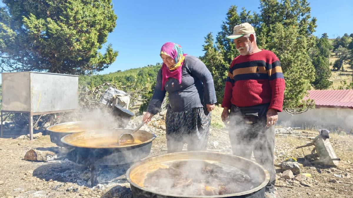 Torosların 1800 rakımında doğal olarak üretiyor! Tek gramı bile elinde kalmıyor