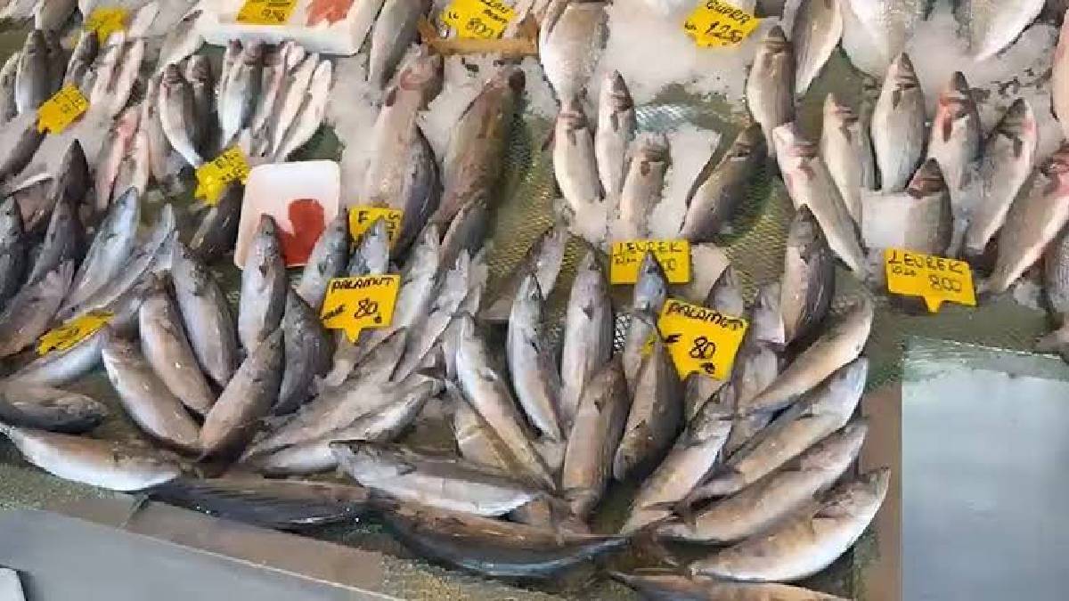 25 yıl sonra rekor bereket geldi: ‘Haftada 2 gün mutlaka tüketin’