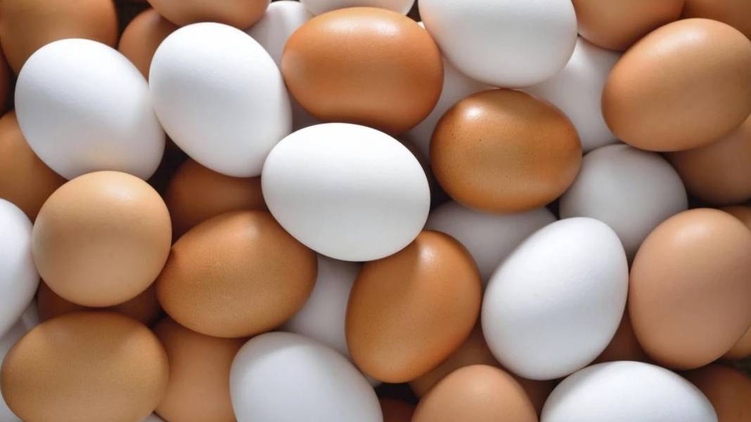 Tavuk yumurtası üretiminde yıllık yüzde 21,4’lük artış