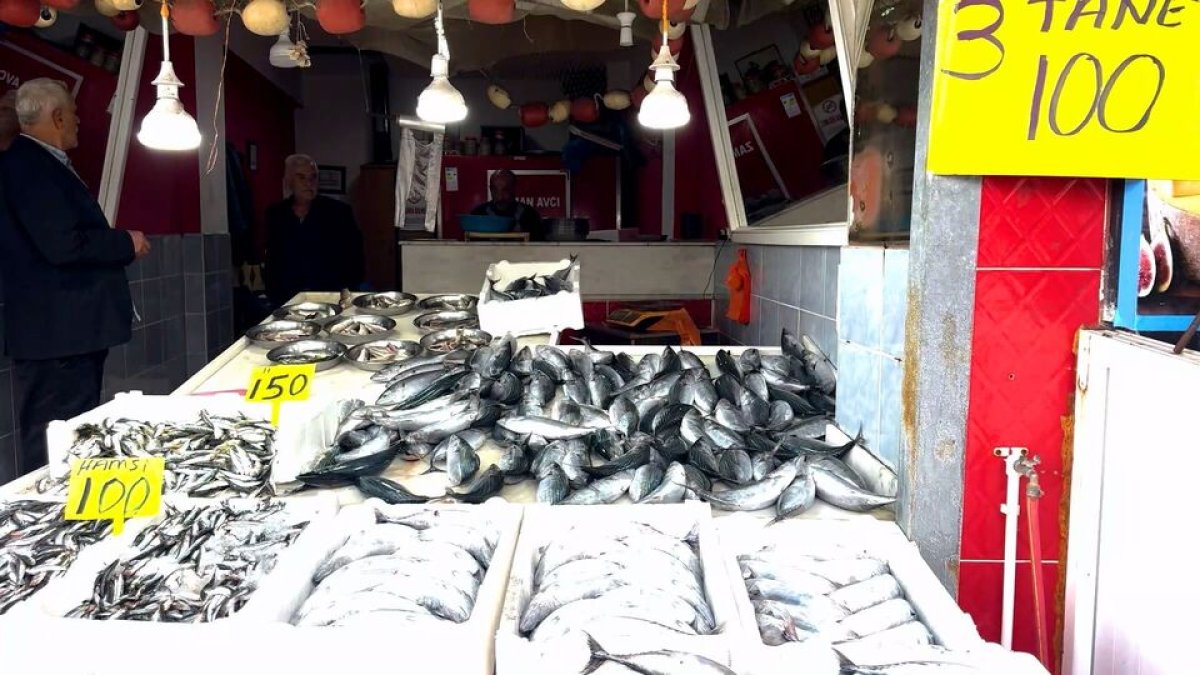 Doğu Karadeniz'de 20 yılın rekor palamut bereketi