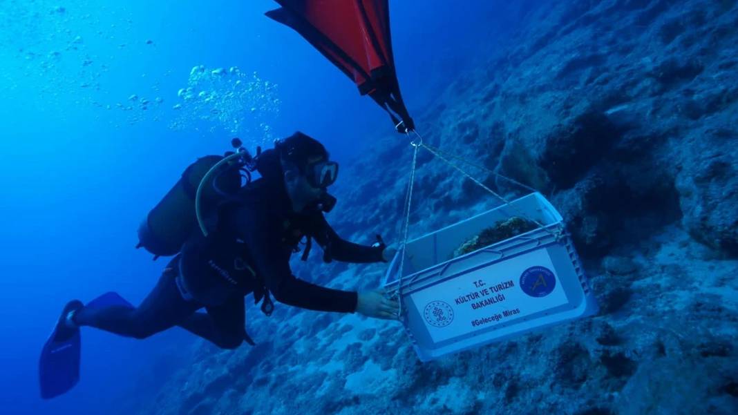 Kekova’da 4 bin yıllık amforalar keşfedildi
