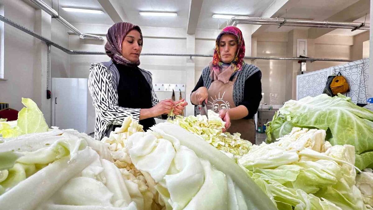 Ağrı’da ata tohumundan gelen lezzet! Turşunun içinde bile asla erimiyor
