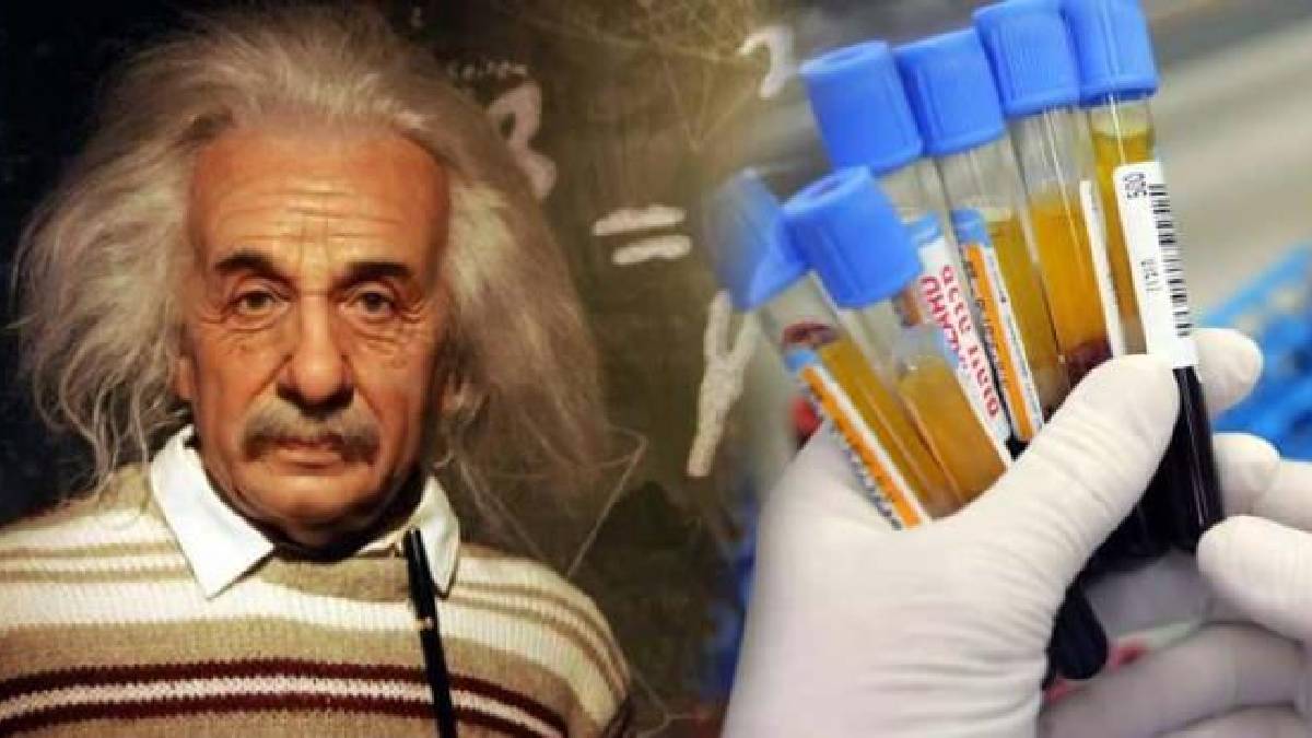 Zihinsel yetenek testinde kanıtlandı: En zeki kan grubu ortaya çıktı!