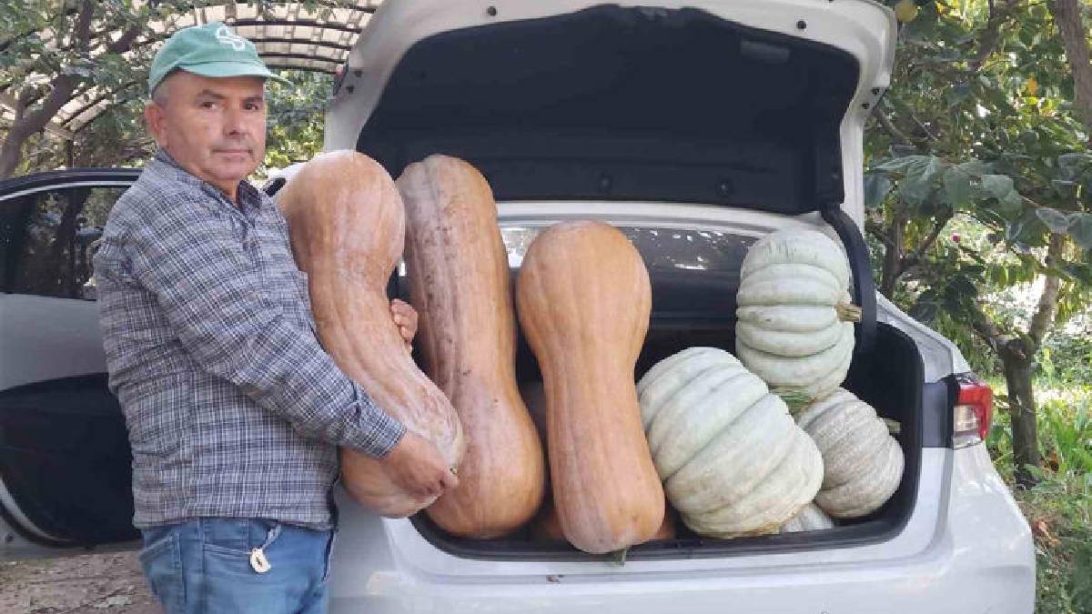 5 dekar araziden dev ürün aldı: 30 kiloluk mahsul şaşırttı!