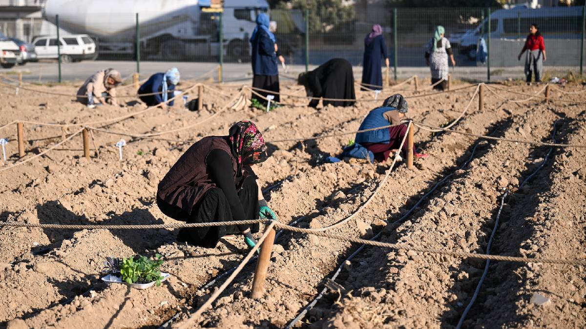 Türkiye’nin ilk “Karbon Sıfır Kent Bostanı” üretime başladı