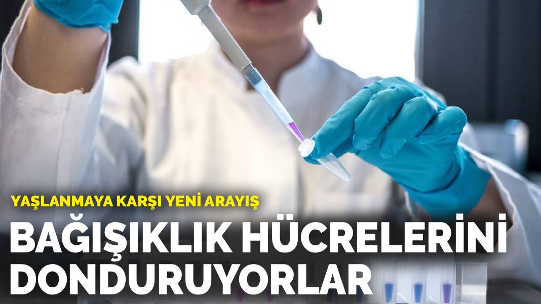 Yaşlanmaya karşı yeni arayış: Bağışıklık hücrelerini donduruyorlar