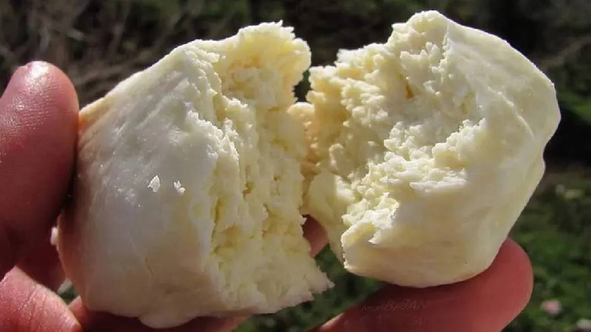 1 kilosu için 8 kilo süt kullanılıyor! Mozzarella’ya Araban’dan dev rakip