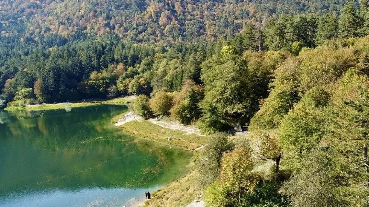 1200 rakımda büyüleyen renk cümbüşü: Doğaseverler Bolu’ya akın ediyor