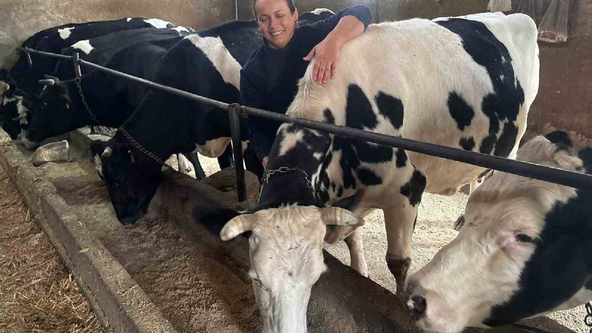 5 hayvanla başladı dev sürüye ulaştı: Edirne’de devlet destekli üretim!