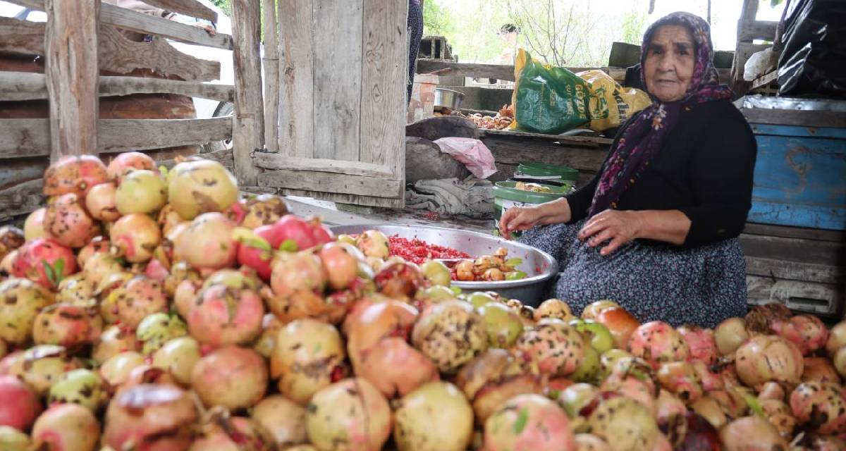 1,5 ton nardan sadece 60 kilo çıkıyor! Kozan'ın tescilli nar ekşisinde kilosu 750 TL