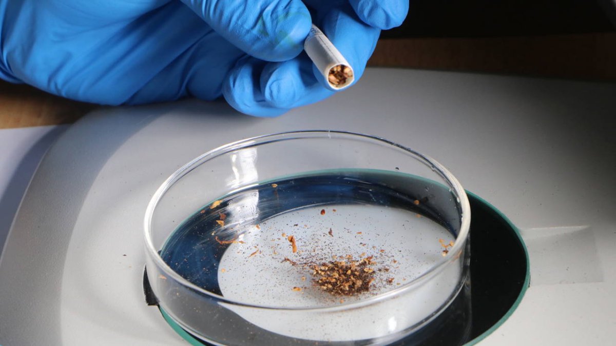 Türkiye listede 2. sırada: 1 gram sigara tütününden 19 mikroplastik çıktı