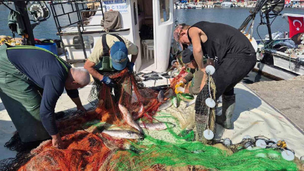 Marmara’da bereket arttı: Tekne limana 1,5 ton balıkla döndü!