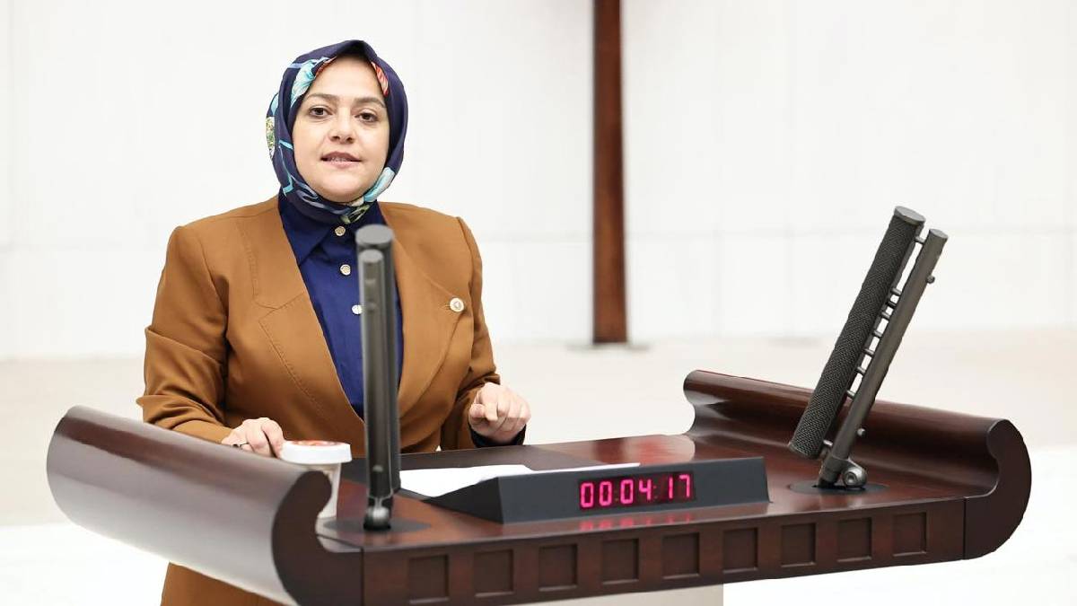 Azerbaycan'ın iki milletvekiline giriş yasağına Sema Silkin Ün'den tepki: TBMM'nin şahsı manevisine hakarettir