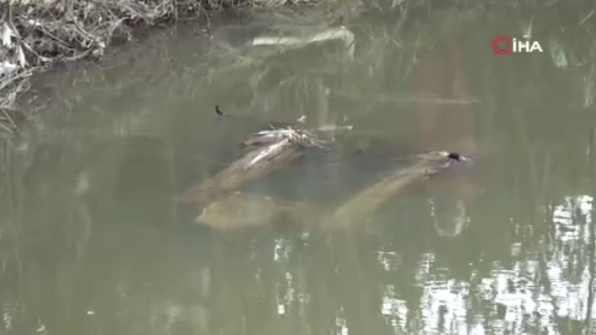 Gebze'de sel sularına kapılan araç 6 gün sonra Pendik’te bulundu