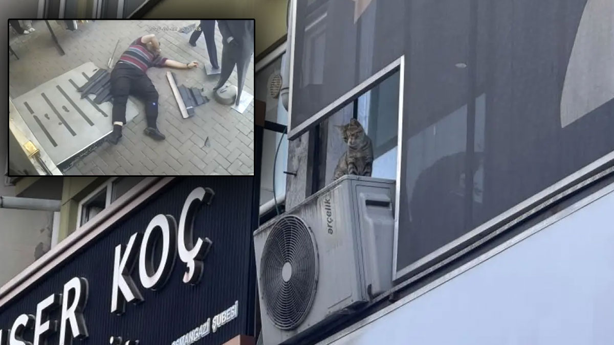 Bursa'da feci olay: Yavru kediyi kurtarmak isterken canından oldu