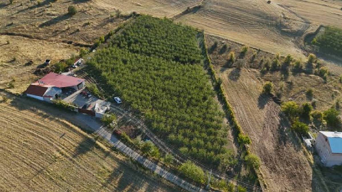 Doktoru ‘Bahçeyle uğraş’ dedi, Almanya’dan Yozgat’a geldi: 20 dönümde 1200 ağaçlık bahçe kurdu!