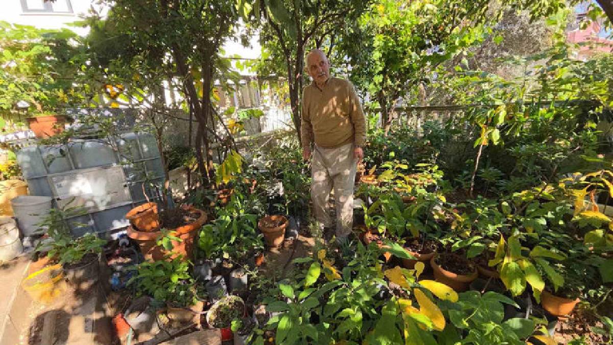 50 ülkeden tohum getirdi 200 çeşit yetiştirdi! Samsun’da ‘Yok yok bahçesi’