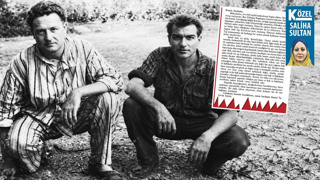 Müzayede evinde Nazım Hikmet mektubu skandalı: 'Hiç yayımlanmadı' dedikleri mektup 58 yıldır kitapta