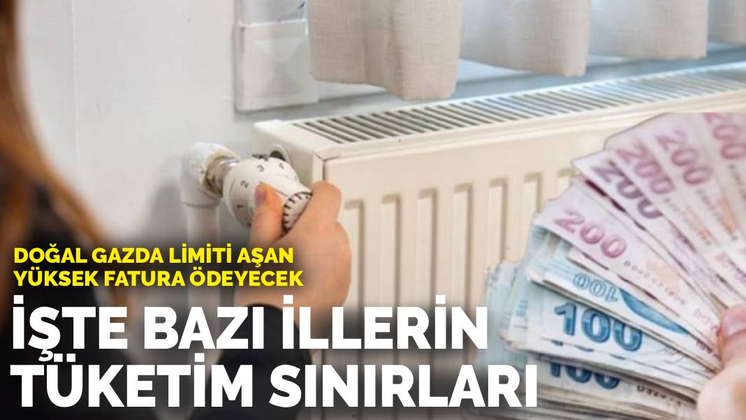 Doğal gazda limiti aşan yüksek fatura ödeyecek: İşte bazı illerin tüketim sınırları