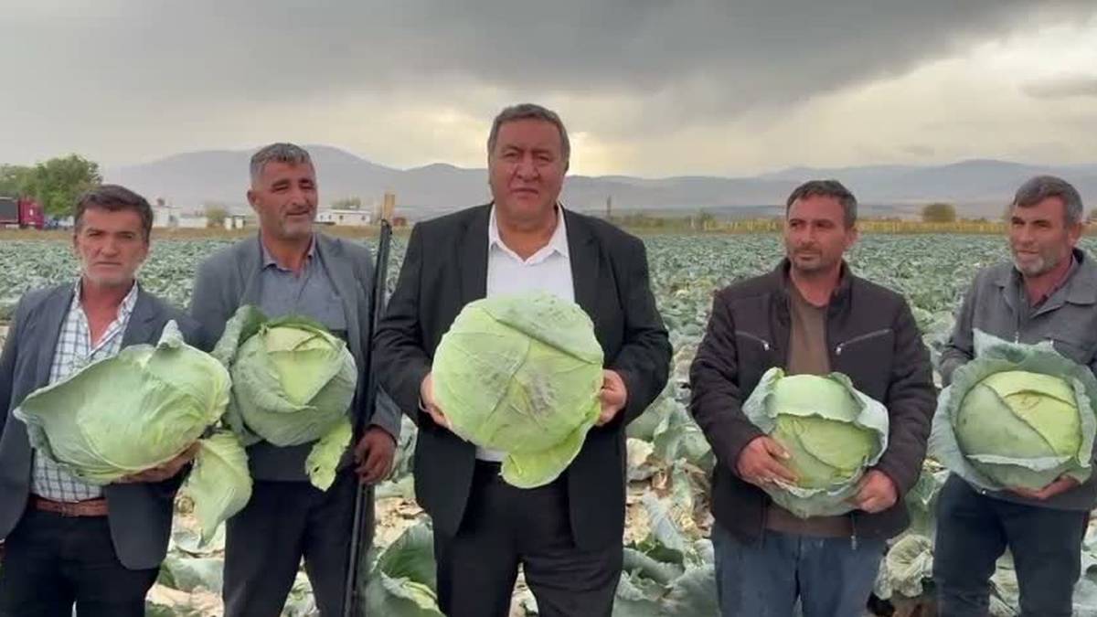 Tarlada 30 pazarda 150 TL: Niğdeli üretici büyük zararda!