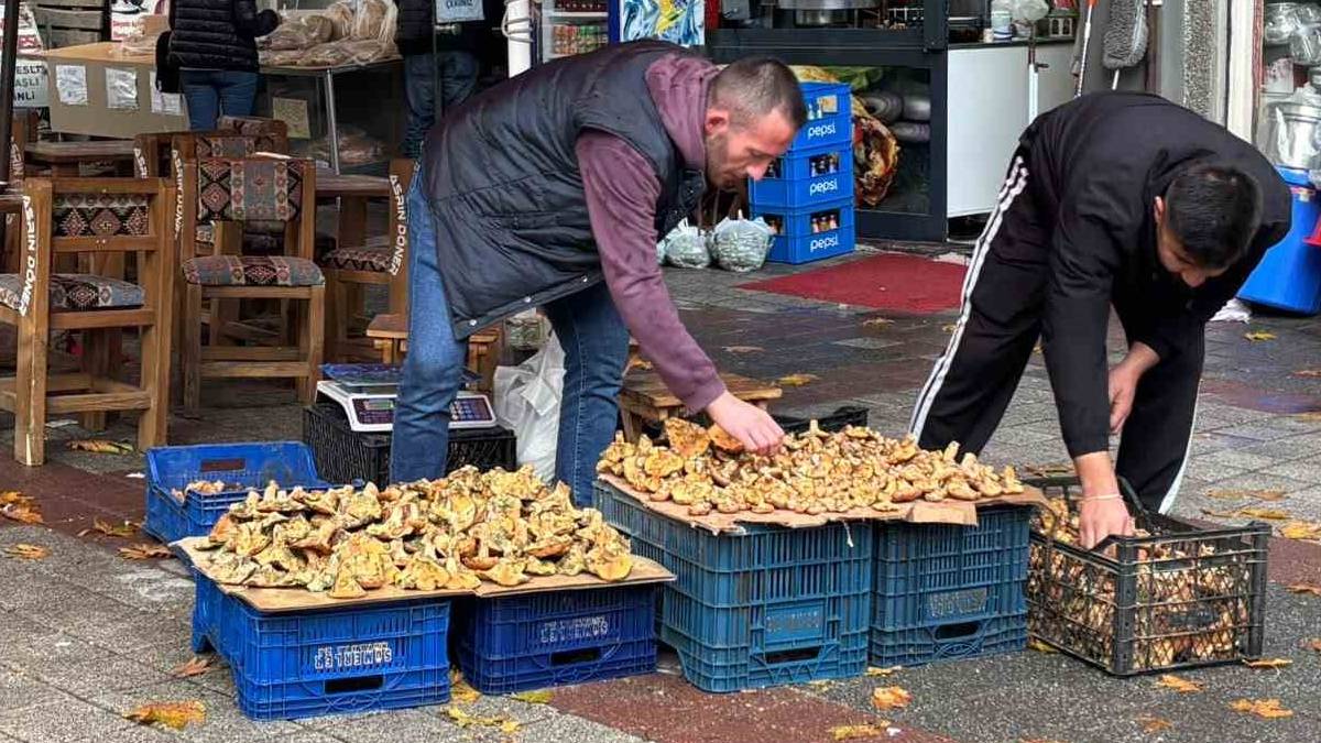 Sezona 500 TL’den başladı 350 TL’ye düştü: Tavşanlı ormanlarından bereket fışkırdı!