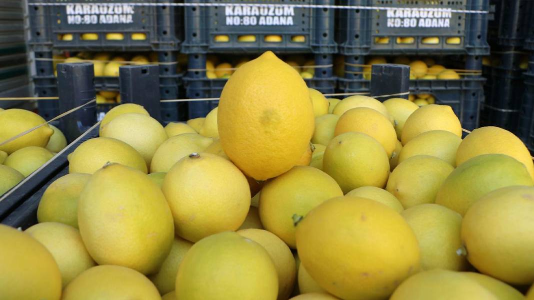 Tarlada 3,90, markette 42,87 lira: Limonda yüzde 999’luk fiyat uçurumu