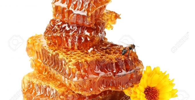 Anzer balının kilogramı 850 lira