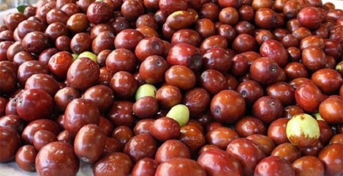 Hünnap, kiraz ve vişneye alternatif oldu | Hünnapın faydaları