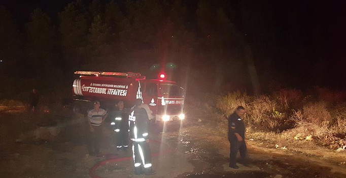 Aydos Ormanı'nda yangın