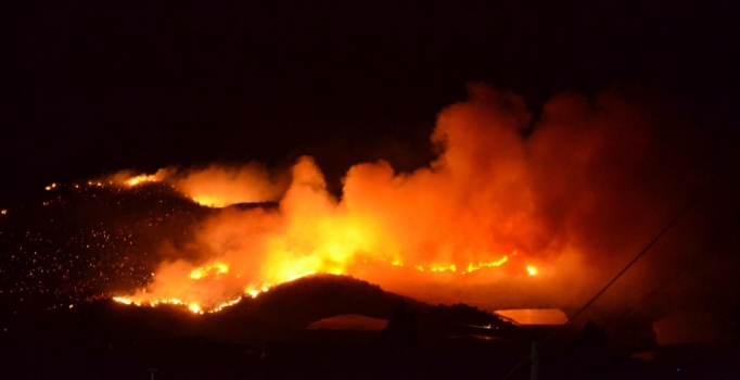 Mersin Anamur'da orman yangını - Sondakika haberleri