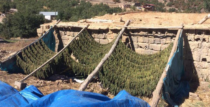 Diyarbakır Lice'de güvenlik güçlerinden PKK'ya büyük darbe