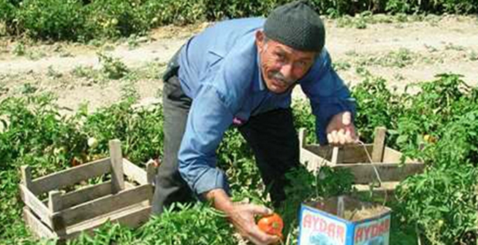 Traktör sürücüsü tekerin 
altında ezilerek öldü